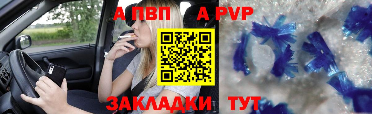A PVP СК КРИС Пушкино