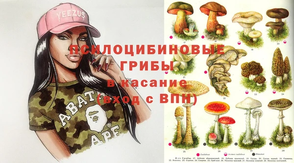 мяу мяу кристалл Арсеньев