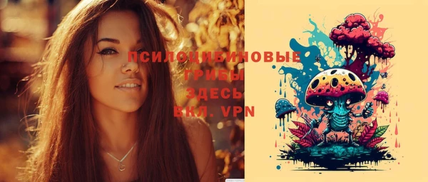 дживик Армянск