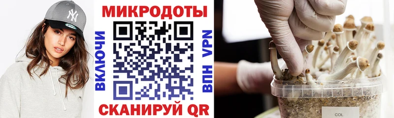 Псилоцибиновые грибы MAGIC MUSHROOMS  Пушкино 