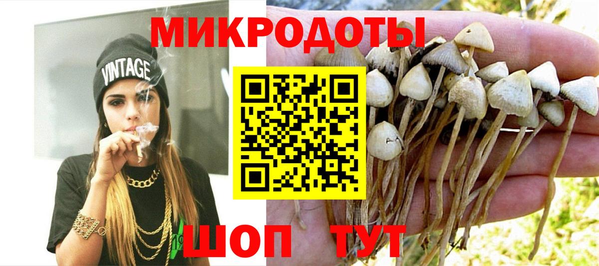 Псилоцибиновые грибы прущие грибы  Псилоцибиновые грибы GOLDEN TEACHER  Вход с VPN  Пушкино 
